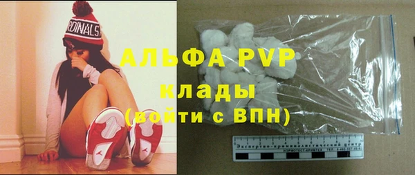 мяу мяу мука Весьегонск