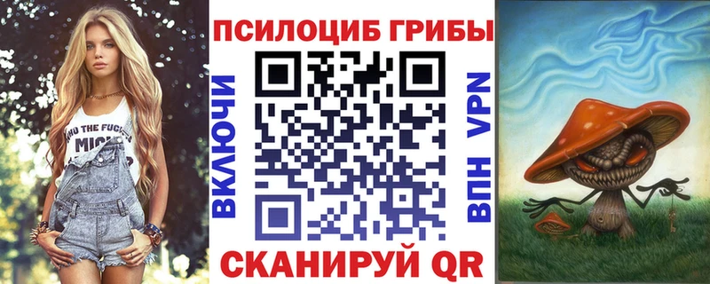 Псилоцибиновые грибы мицелий  что такое   дарк нет телеграм  Сусуман 